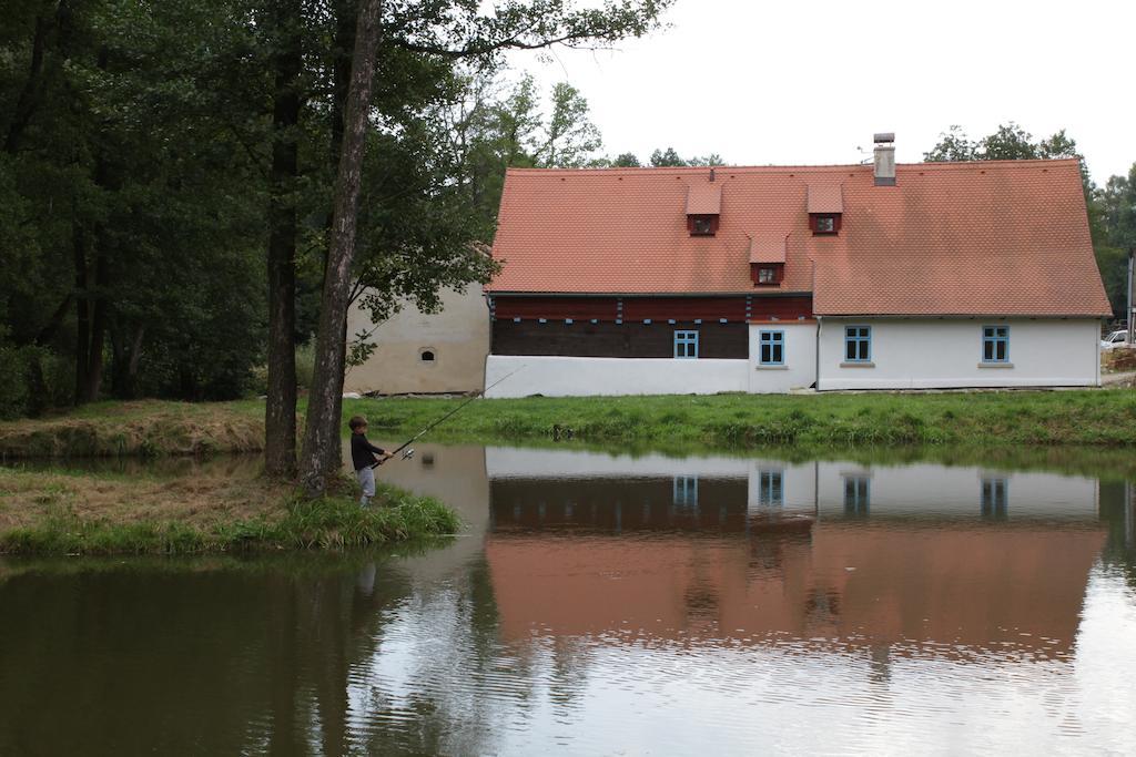 Statek Salajna Guest House Exterior photo